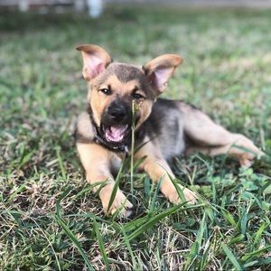 Meet your Posher, Brittney